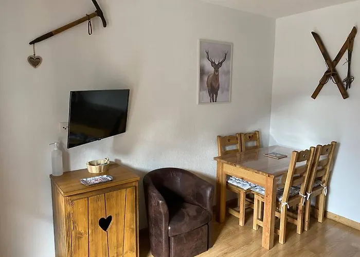 Superbe Appartement Decoration Montagne Centre Loudenvielle